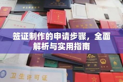 迎江签证制作的申请步骤，全面解析与实用指南