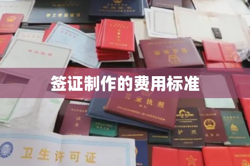 迎江签证制作的费用标准