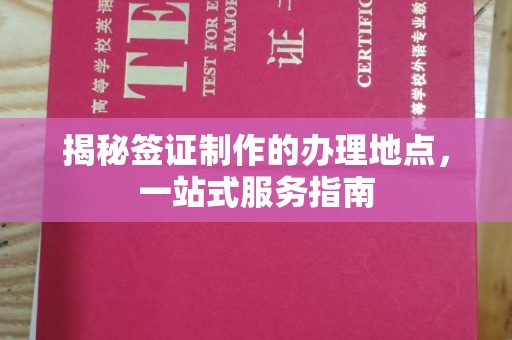 迎江揭秘签证制作的办理地点，一站式服务指南