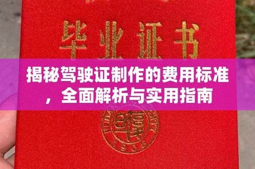 迎江揭秘驾驶证制作的费用标准，全面解析与实用指南