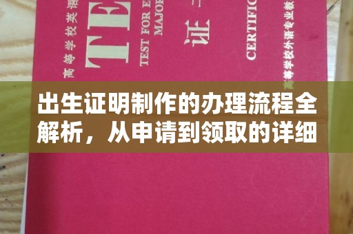 迎江出生证明制作的办理流程全解析，从申请到领取的详细指南
