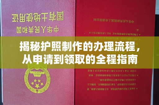 迎江揭秘护照制作的办理流程，从申请到领取的全程指南