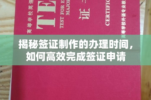迎江揭秘签证制作的办理时间，如何高效完成签证申请