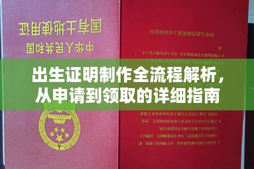 迎江出生证明制作全流程解析，从申请到领取的详细指南