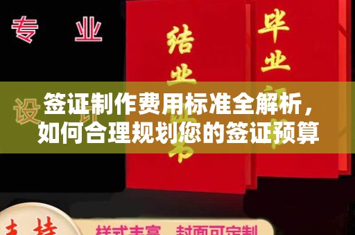 迎江签证制作费用标准全解析，如何合理规划您的签证预算？